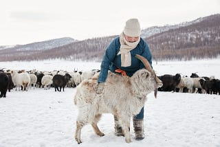 GOBI Cashmere: Where Tradition Fuses with Fashion