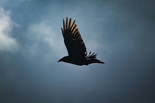The Ambiguity of Human Decision-Making