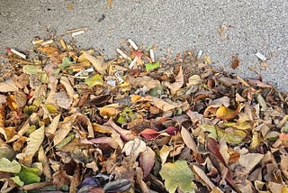 Urban Gutter