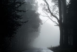 Foggy and dark roadway with trees in shadows peeking over.