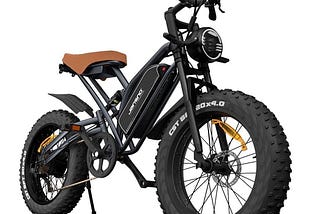 jansno-x50-electric-bike-for-adults-with-powerful-750w-brushless-motor-long-lasting-48v-14ah-battery-1