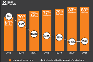 The Ugly Truth About Kill Shelters in America