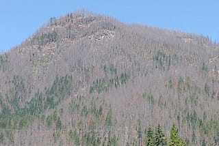 Porcupine Ridge