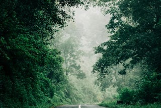 अपना रास्ता बनाना