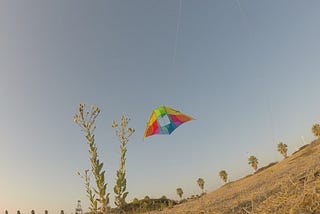 Go Fly A Kite