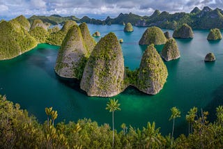 Indonesia’s Battery Economy Is Bulldozing Paradise