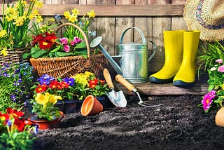 10 Best Gardening Tips For Beginners