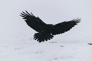 Raven