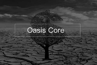 研究｜Oasis Network 分析