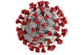 A respiratory virus infecting blood cells and circulating through the body is virtually unheard of.