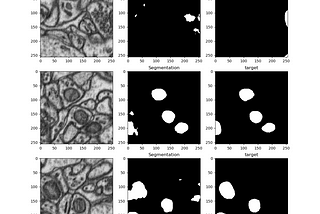 Assessing Autoencoder Outputs with Wavelets