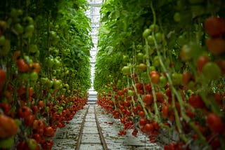 Part 12: Factories for scalable food production.