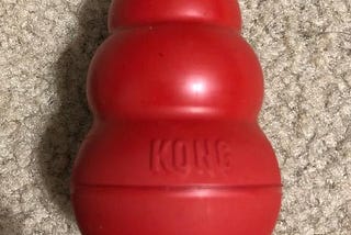 15 Things To Put In A Kong (or other fill toys)