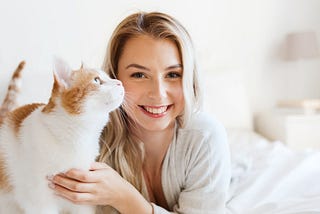 7 Essential tips While Caring For A Cat