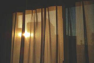 Black Bear November Prompt