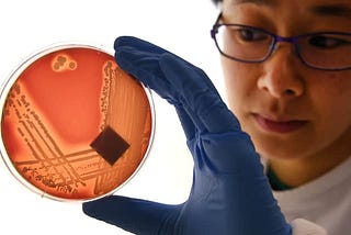 How supermarkets help the spread of deadly antibiotic-resistant diseases