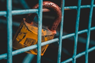 VueJS, the Composition API & Firebase Authentication