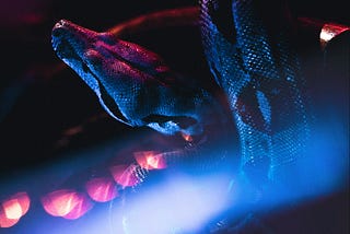 Best Practices for Aligning Your Python Packaging Metadata with GitHub Release Tags