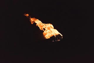 Finding Meaning In A Burning World