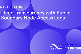 Real-time Transparency with Public API Boundary Node Access Logs