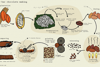 The Origin Story of Chocolate