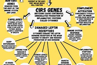 What Is Chronic Inflammatory Response Syndrome?