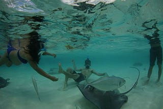 Private Stingray City Charter Cayman offers best water-based travel activity