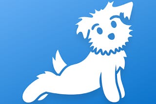 Case study: An essay on the Down Dog app from a user perspective