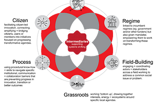 Governance in and for complexity