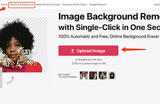 Remove Image Background in 1 Click with Cutout.pro