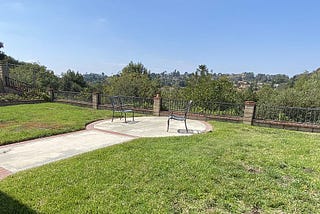 A backyard will full of grass