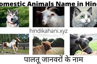 Domestic Animals Name In Hindi | पालतू जानवरों के नाम | हिंदी कहानी | Hindi Kahani |