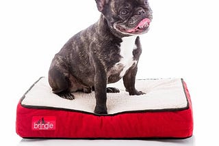 brindle-waterproof-designer-memory-foam-pet-bed-small-red-sherpa-1