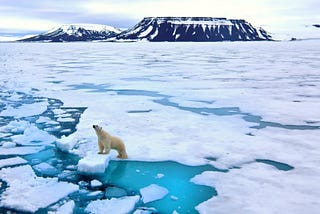 Polar Ice Caps and their Exctinction