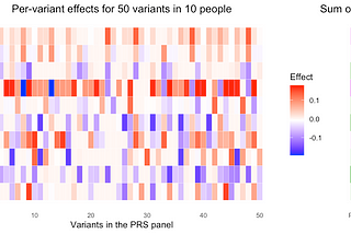 What is a polygenic risk score?
