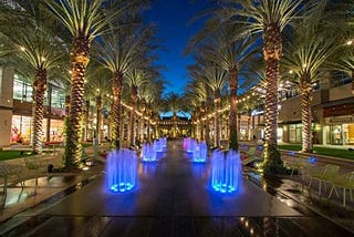 Top 10 Things to Do in Phoenix, Arizona in February