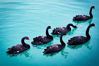 Of Black Swans and Contingency Plans