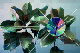 A photographic rendering of a young houseplant against a neutral background, seen through a refractive glass grid and overlaid with an single neuron from a neural network diagram.