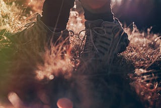 A person standing in a field of grass with the sun radiating behind them