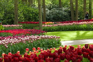 7 Beautiful Gardens of the World