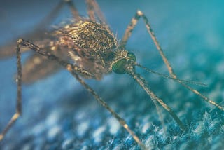 Funding Late Stage Clinical Development of a Novel Antimalarial