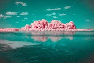 Colour adjusted surreal photograph showing a pink island with pink trees, on a teal green sea, against a teal green sky, with a few clouds. There is a reflection of the pink island in the sea.