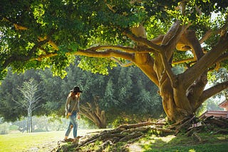 Woman in nature, next to a giant tree with its roots exposed