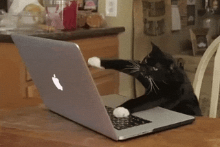 From Directory Listing to Breaking Logins 💥