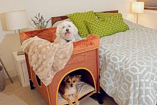 5 Reasons Why Pet Parents Need Petique’s Bedside Lounge Pet Bed