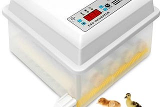 fahkns-16-egg-incubator-incubadora-de-huevos-for-chicken-with-led-candlerautomatic-egg-turning-tempe-1