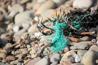 microplastic debris found tangled on the shore