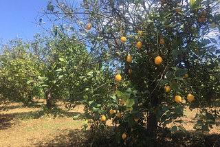 Travel in time and Sicily