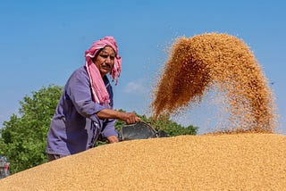 Wheat Procurement India 2021: Complete analysis