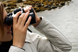 Get Closer to Nature: Discover the Perfect Binoculars for Whale Watching